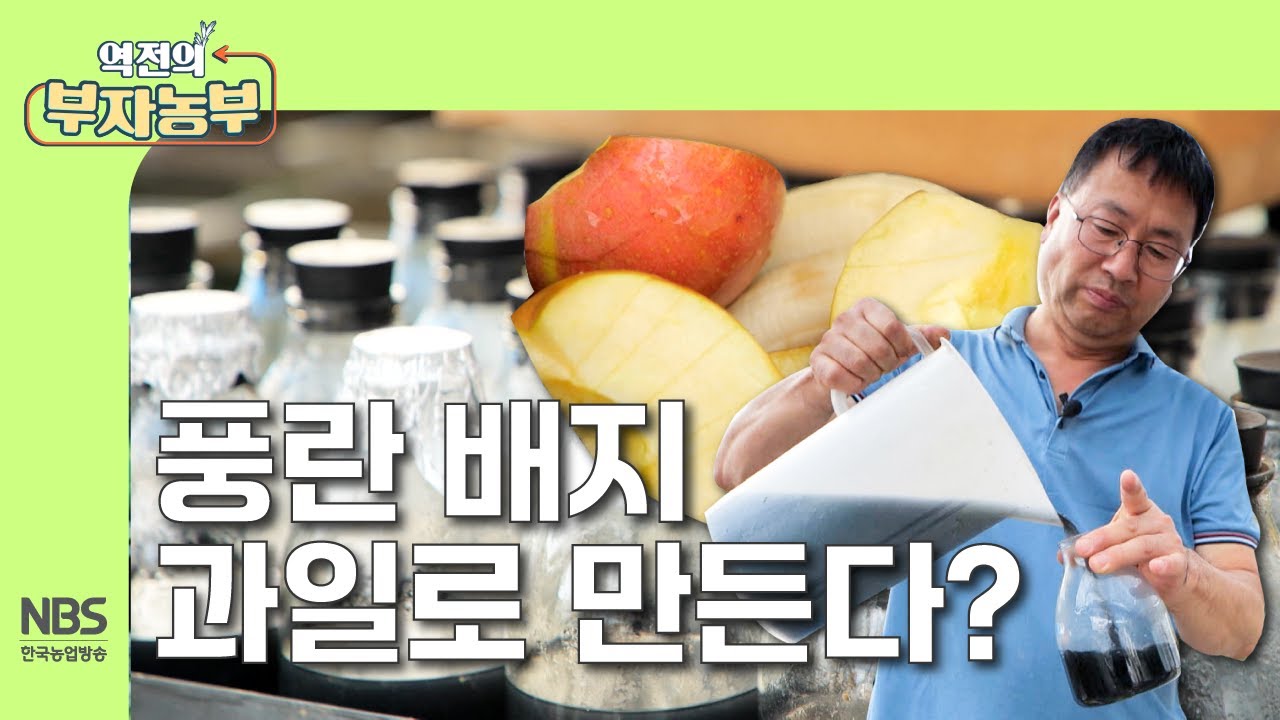 [역전의부자농부 312회] 풍란 배지 과일로 만든다?