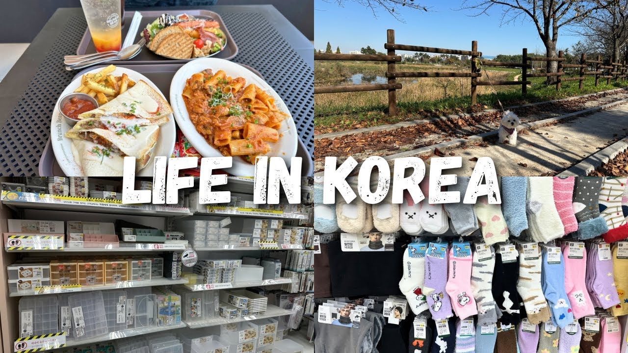 LIFE IN KOREA 🇰🇷 Korean Brunch 🥗 & Daiso Winter Items ❄️🧤