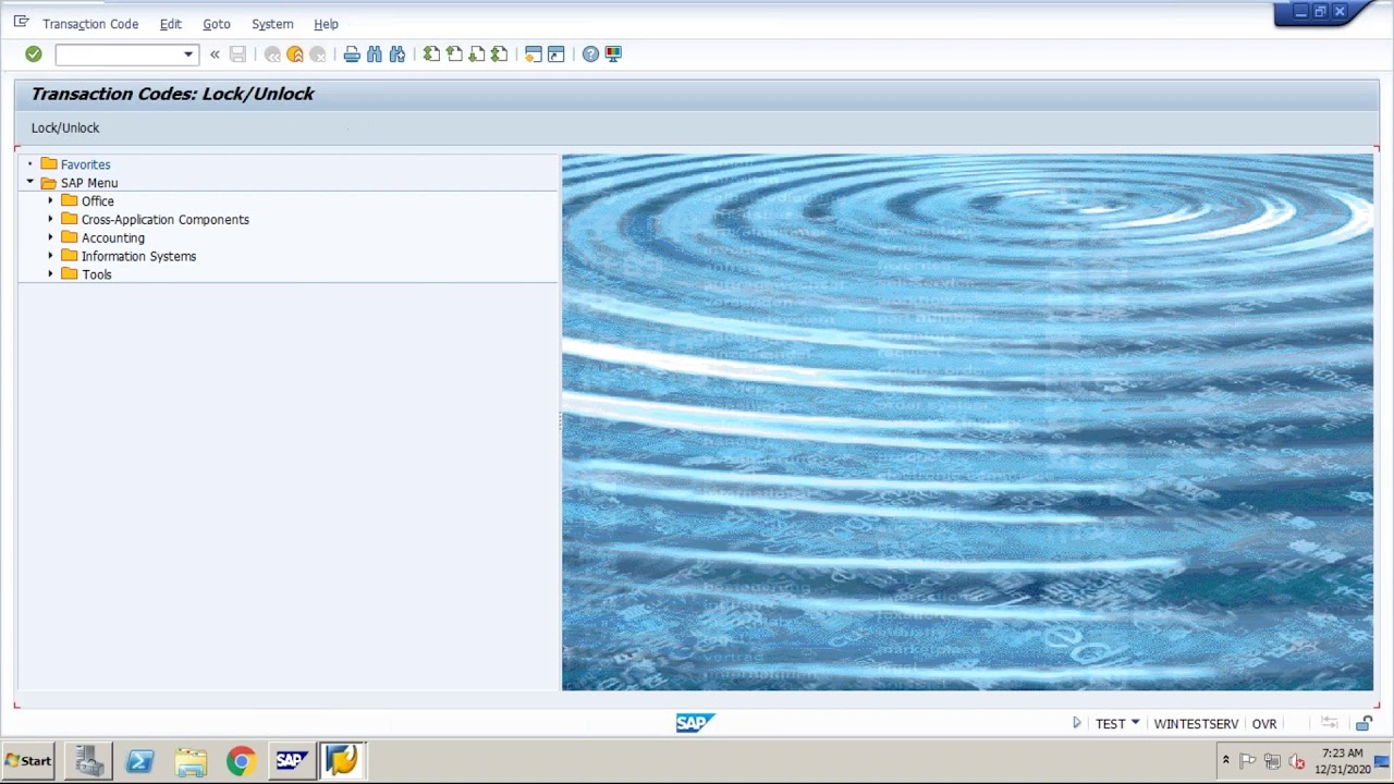 How to monitor T codes in SAP BASIS Part-1