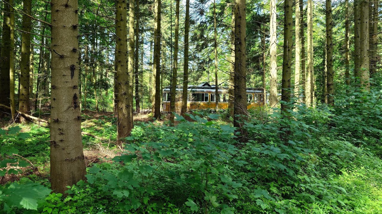 Sporvejsmuseet Skjoldenæsholm / The Tram Museum, June 29th 2024