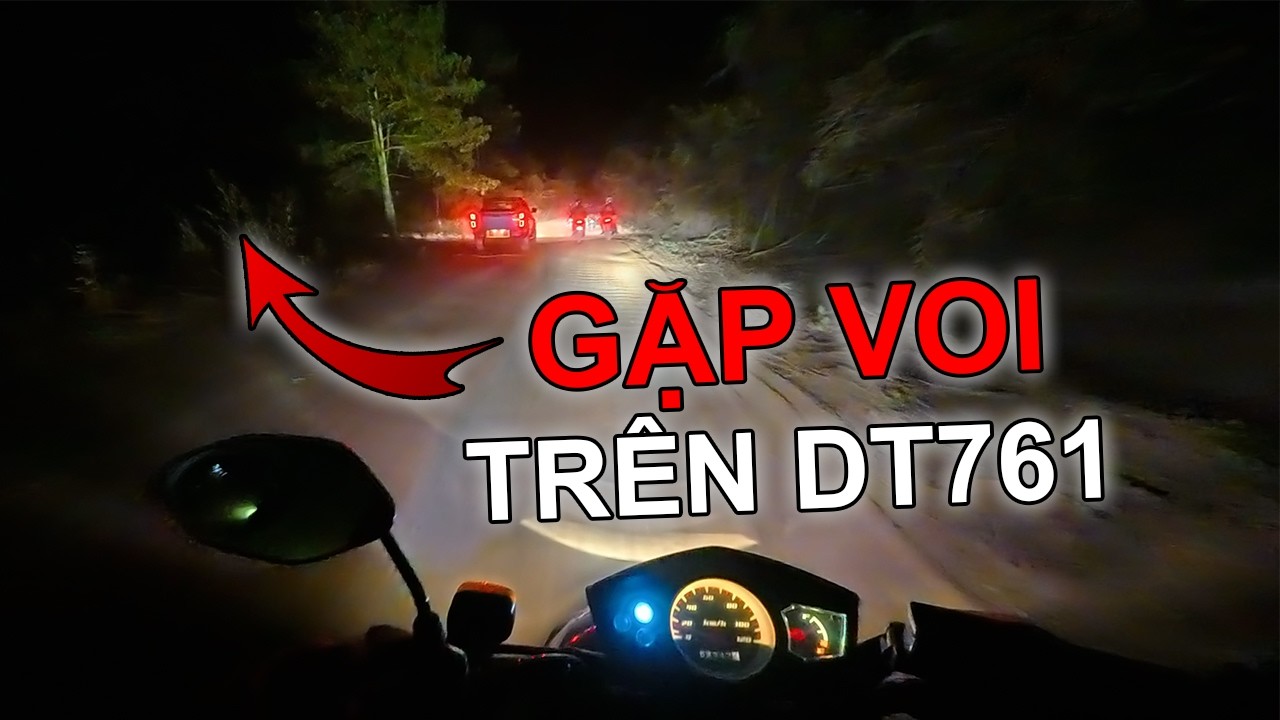 Đi Chơi Đầu Năm #Kết - GẶP VOI Ngay DT761 Xuy&ecirc;n Rừng M&atilde; Đ&agrave; v&agrave; c&aacute;i kết - Xe &Ocirc;m Vlog