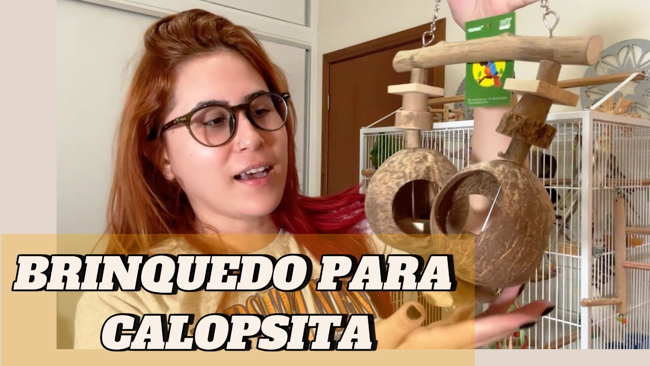 Brinquedos Novos das Calopsitas! - CALOPSITA NEWS