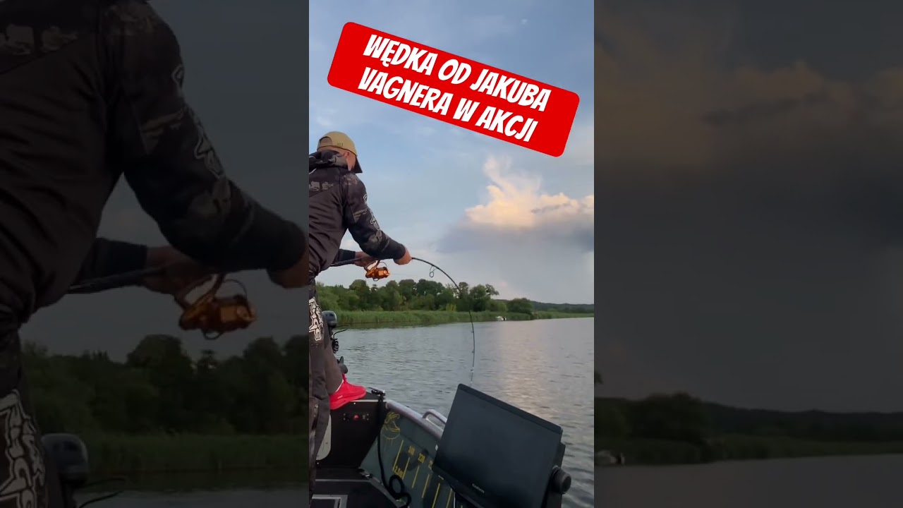 Wędka Sumowa od Jakuba Vagnera w akcji #shorts #fishing #wędkarstwo