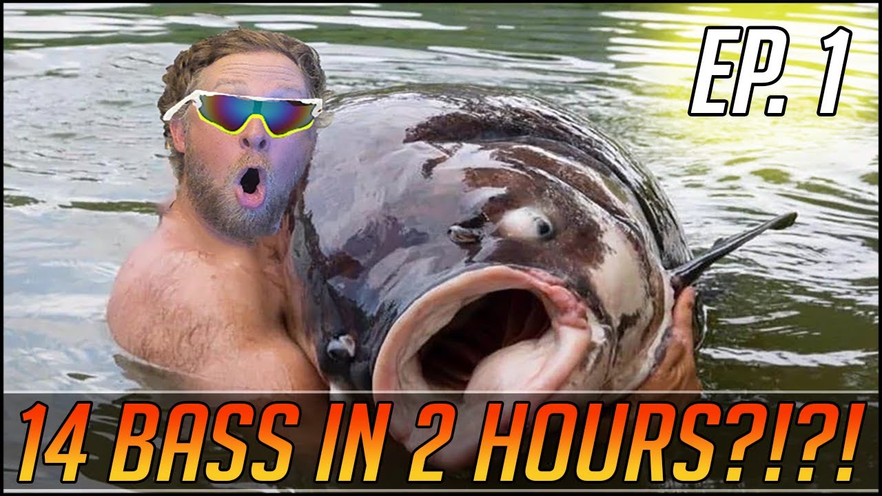 Ep. 1 - FOURTEEN Bass in Two Hours?! Shore fishing in Dana Point Harbor!