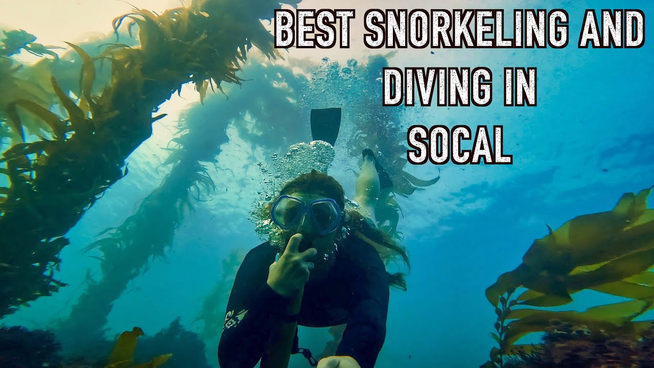 Best Snorkeling/Diving Spots in Southern California