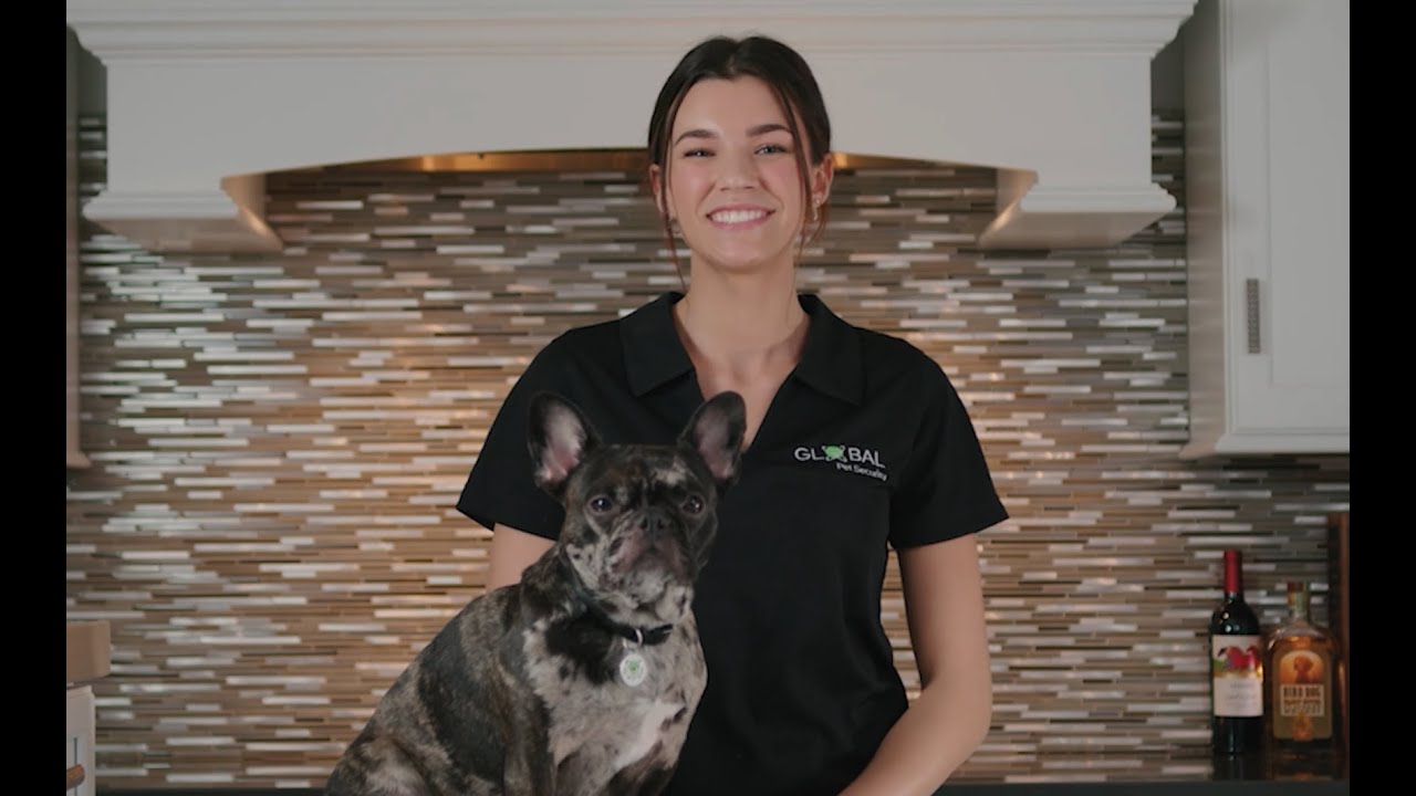 Global Pet Security App