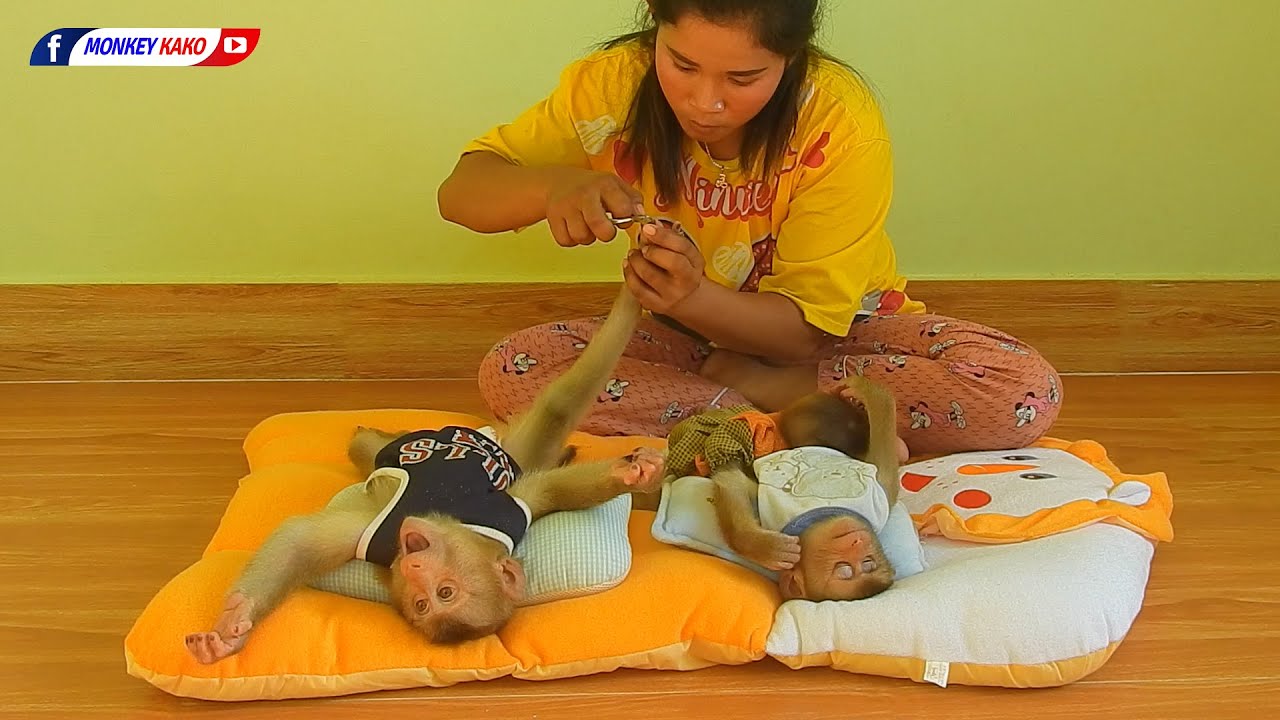 Lovely Mom Cutting And Clean Nails For Adorable Kako With Cute Baby Luna