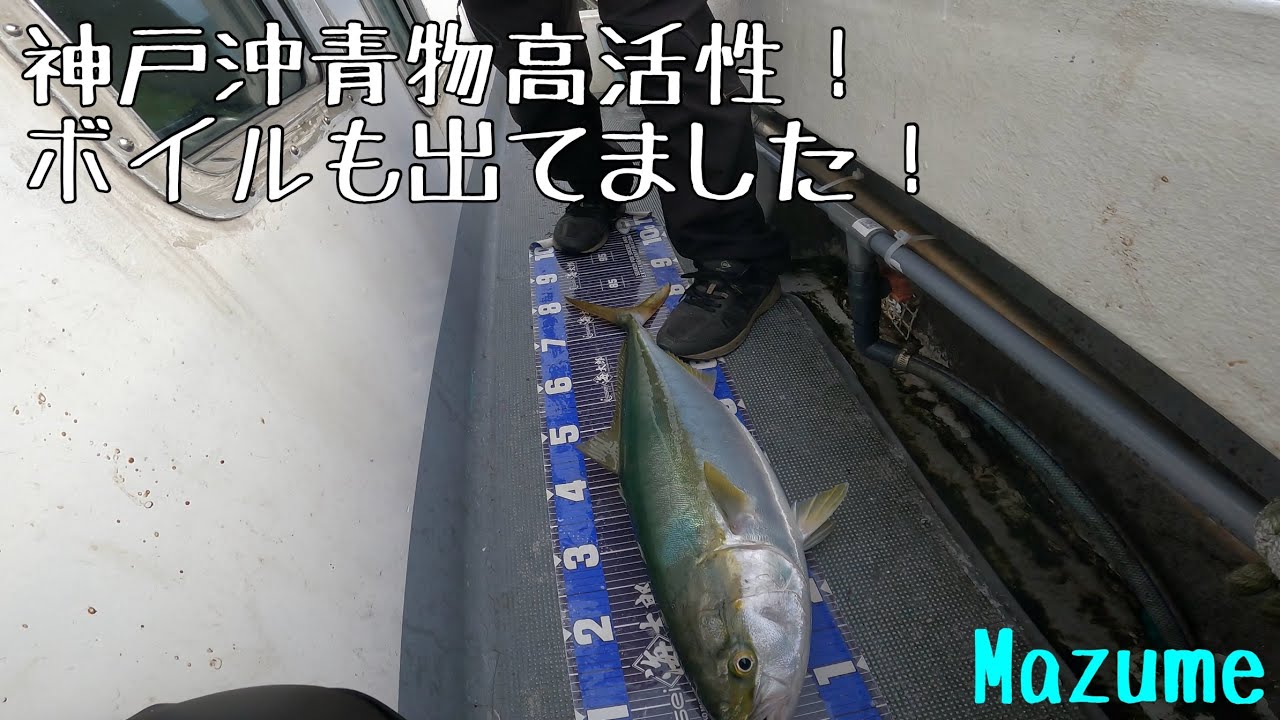 2025年6月25日　オフショアキャスティング「神戸渡船」神戸沖青物高活性です！