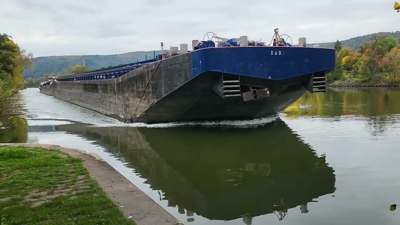 Koppelverband Tokko/Sado unter der alten Mainbr&uuml;cke in Lohr zu Berg