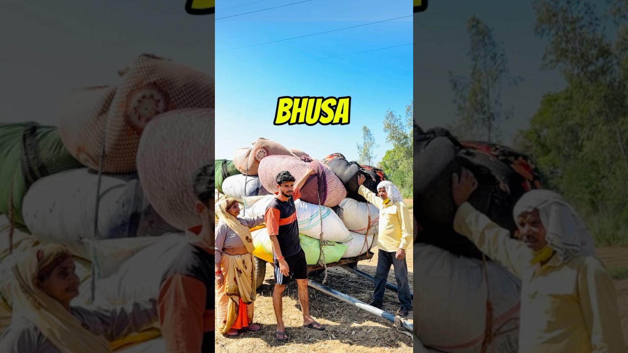 Gehu Ka Sara Bhusa Ghar Q laay 🤔 | #minivlog #vlog #shorts