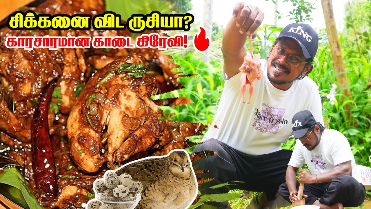 🍗 சிக்கனை விட ருசியா? 😋 காரசாரமான காடை கிரேவி! 🔥 | How to make Spicy Kaada Gravy in Tamil |#trending