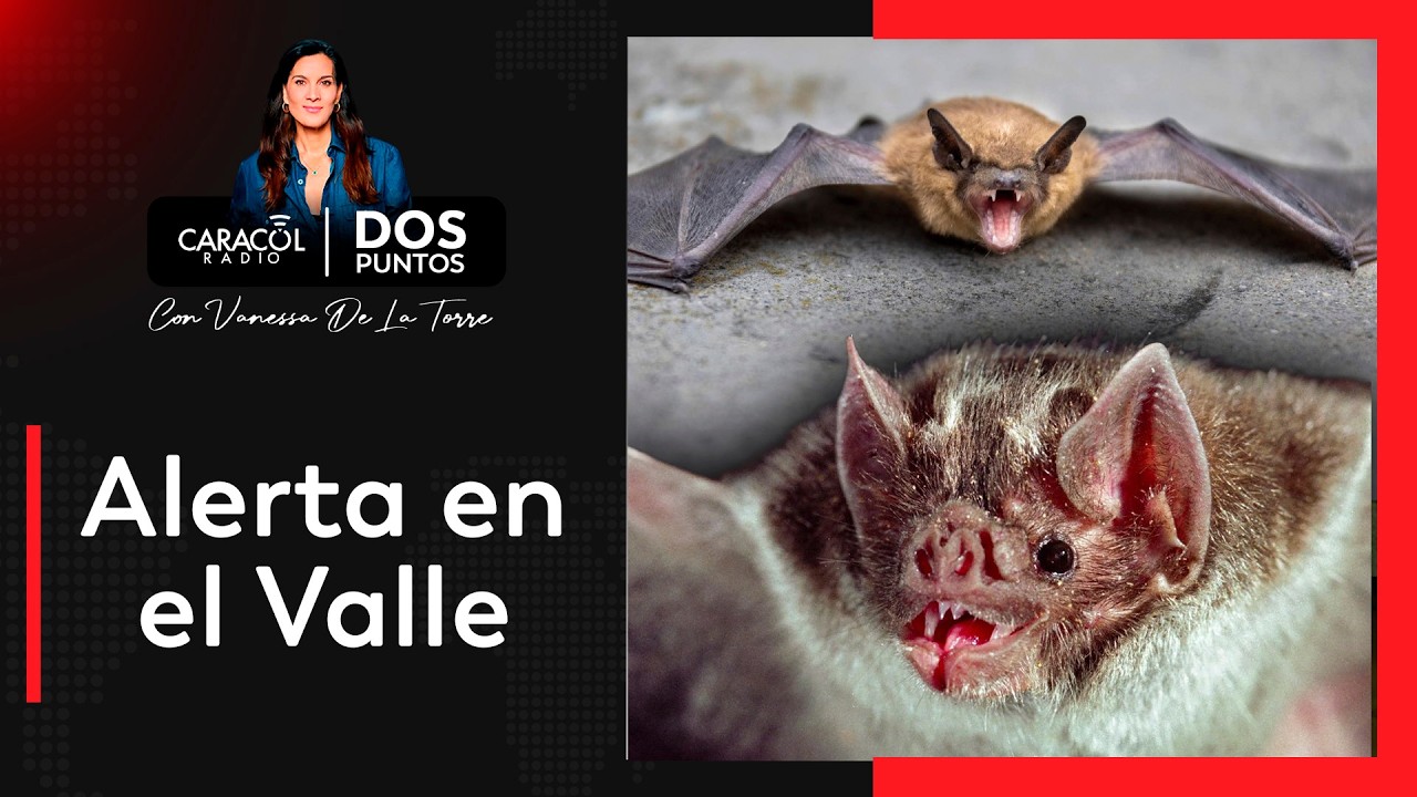 Alerta en el Valle por murciélagos:  activan vigilancia por posibles casos de rabia | DOS PUNTOS
