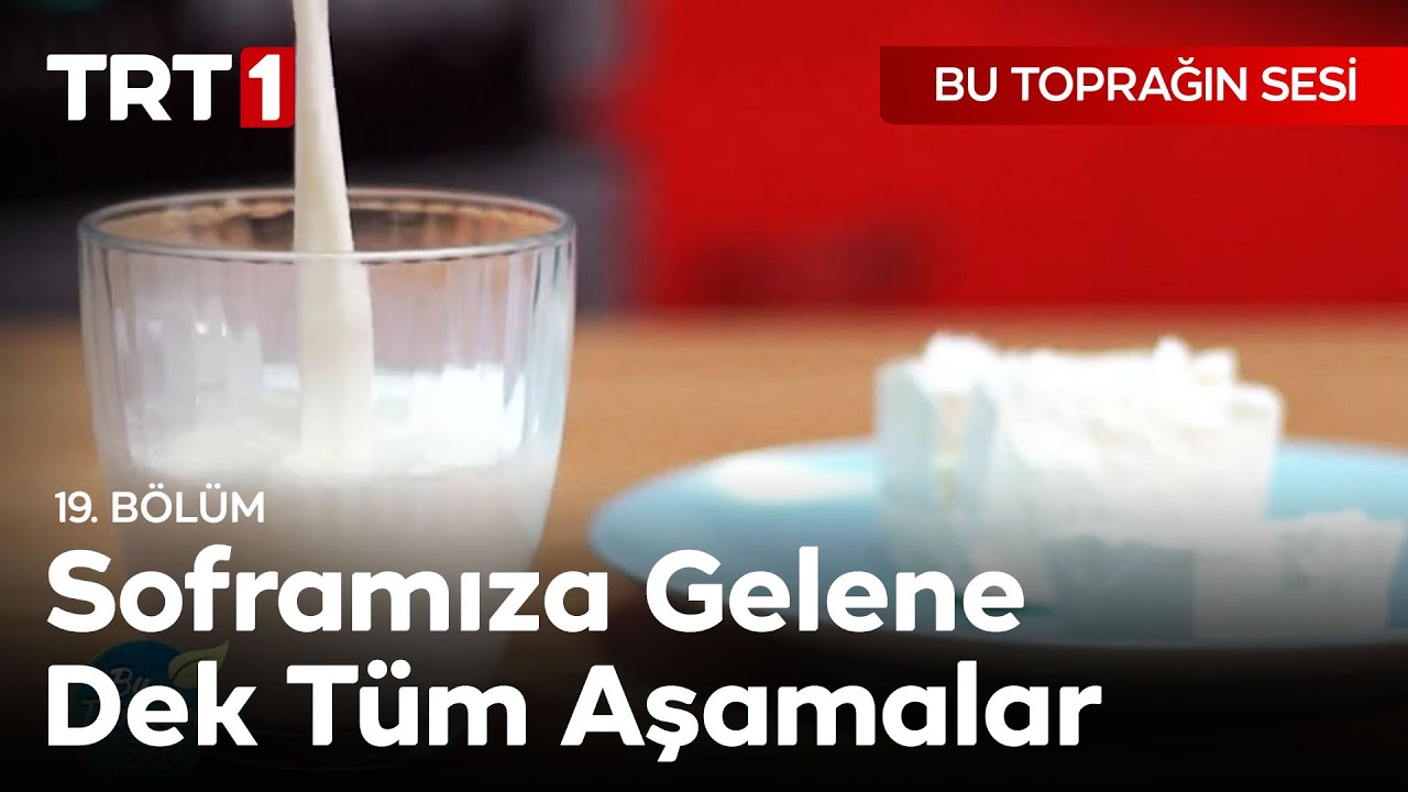 Süt ve Peynirin Üretim Aşamaları🥛  Bu Toprağın Sesi 19. Bölüm