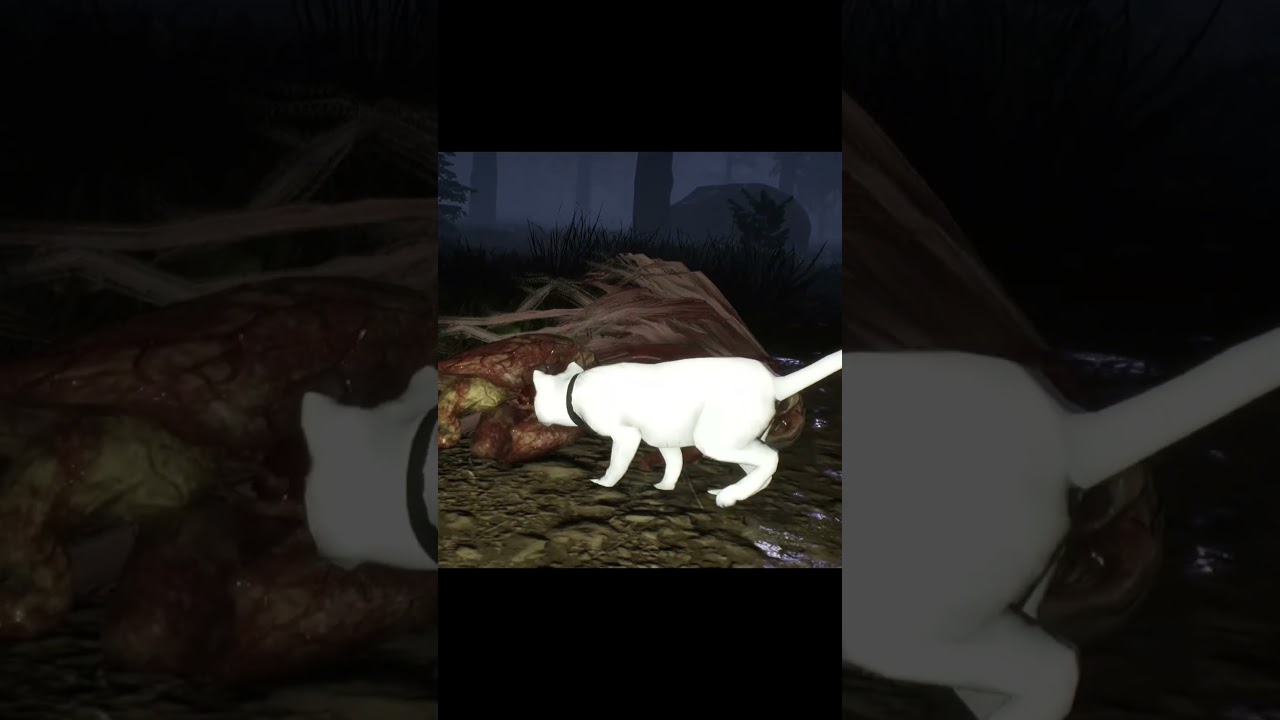 Kucing makan kuyang😊😊 - DreadOut 2