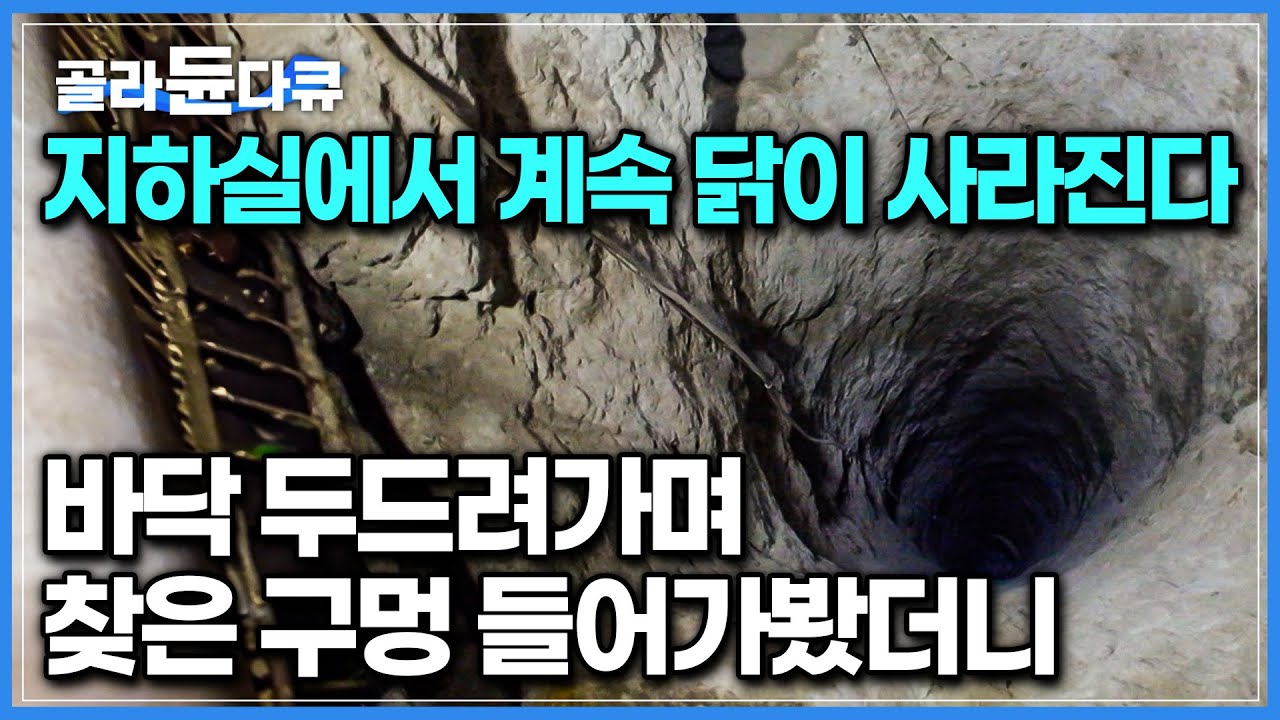 자꾸만 없어지는 닭들을 쫓다 지하실 바닥에 숨겨진 입구를 찾았다, 내려가 본 농부가 기절초풍한 이유｜땅 밑 거대 지하도시｜데린쿠유 Derinkuyu｜세계테마기행｜#골라듄다큐