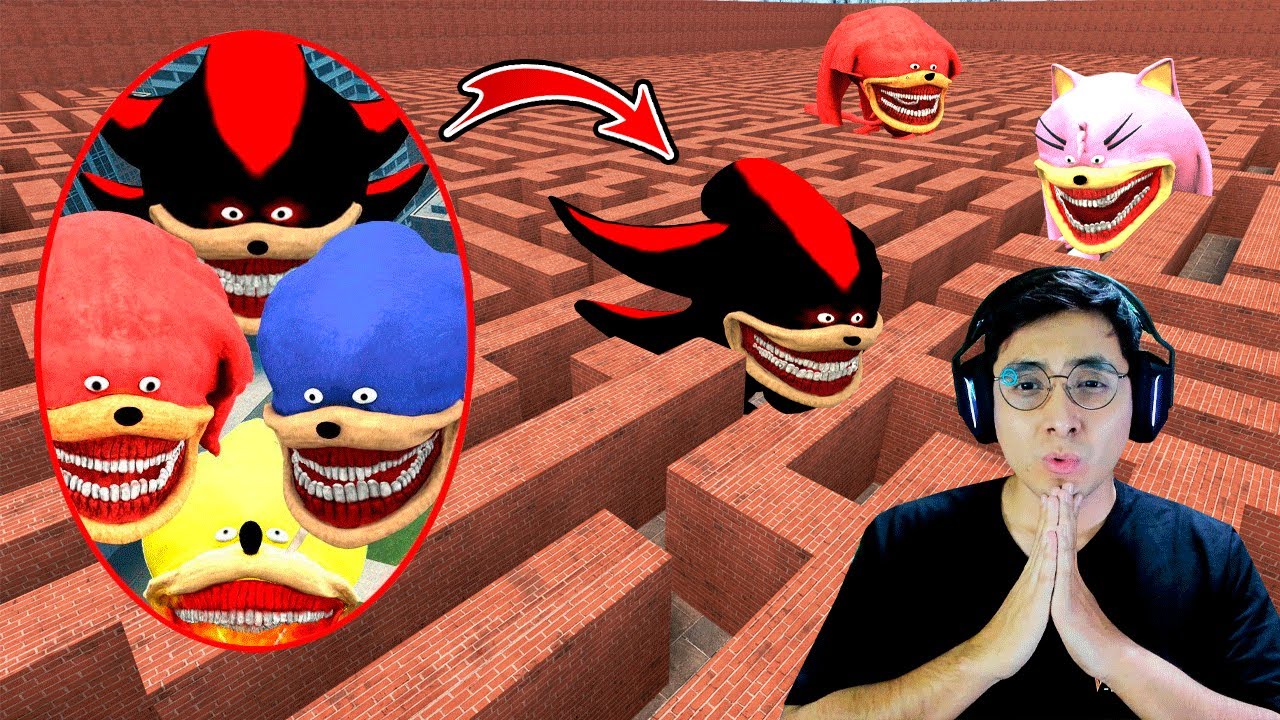¿Podrán los AMIGOS DE SONIC TAPES encontarme en un LABERINTO INFINITO? (Garry's Mod)