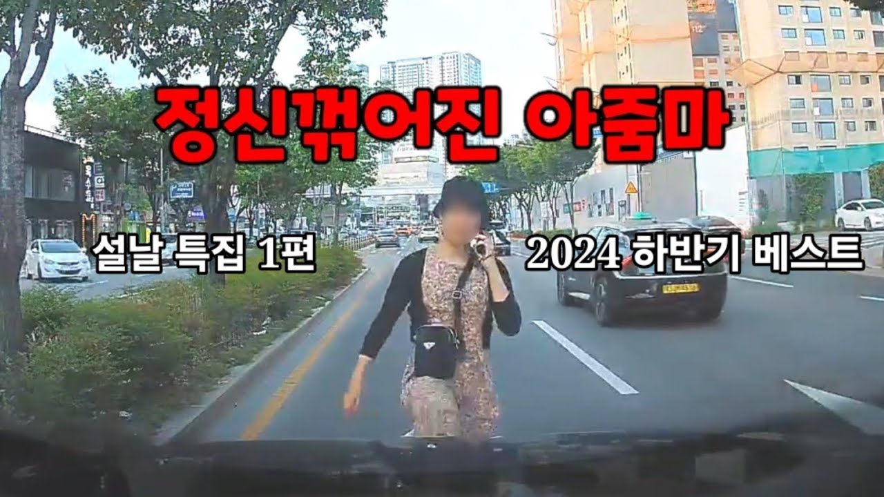 도참시 블랙박스: 2024 하반기 베스트 설날특집 1편 블박영상 모음
