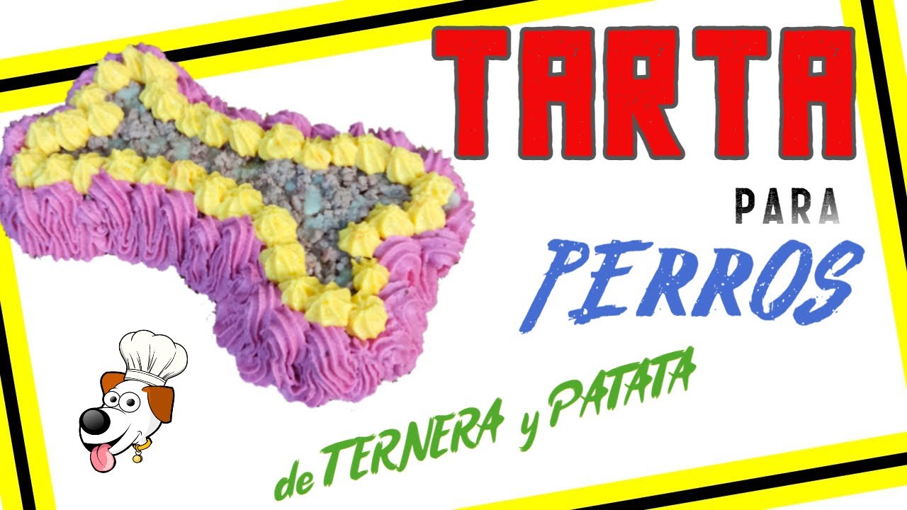 ▶✅ Cómo Hacer una TARTA para PERROS 🎂 Casera