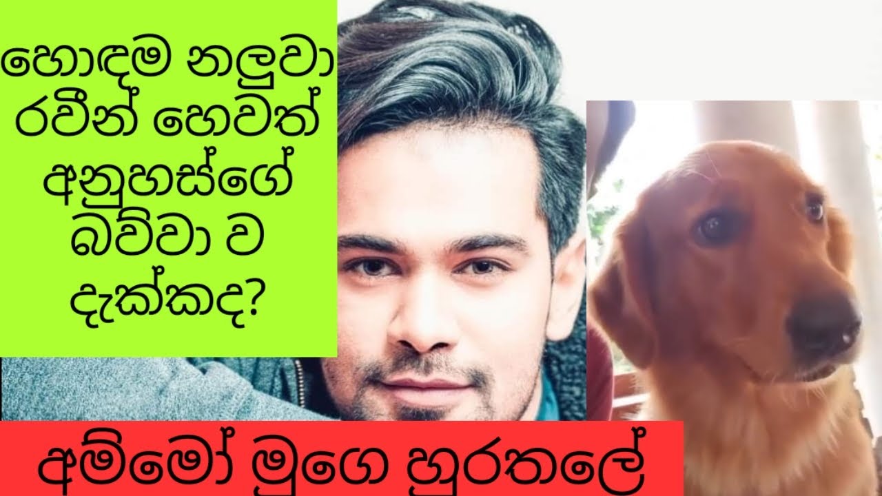 Raween kanishka dog