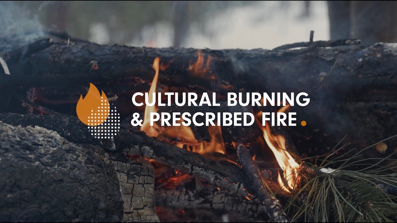 Traditional Ecological Fire Knowledge: Penticton Indian Band/Sylix Nation