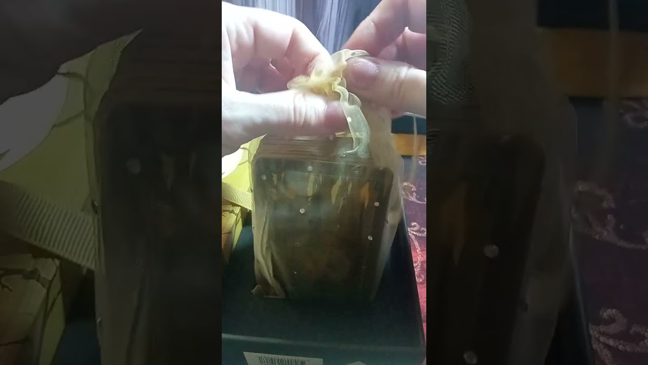 Как прокрасить боковой срез карт и зачем.