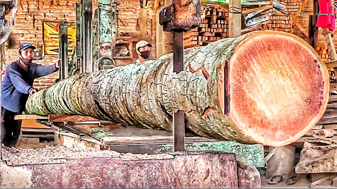 Processing 6-Meter Coconut Tree Logs into Long, Smooth Timber Strips 🌴🪵