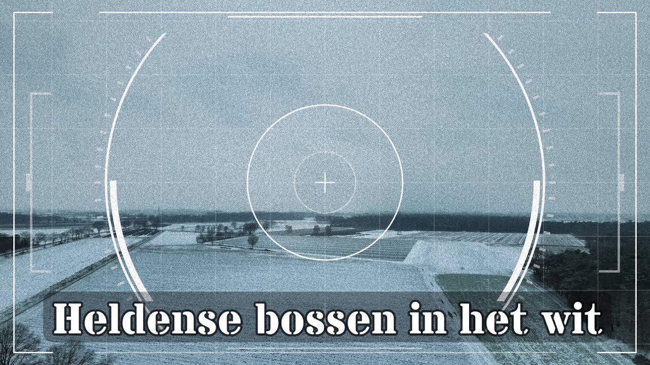 Heldense bossen in het wit