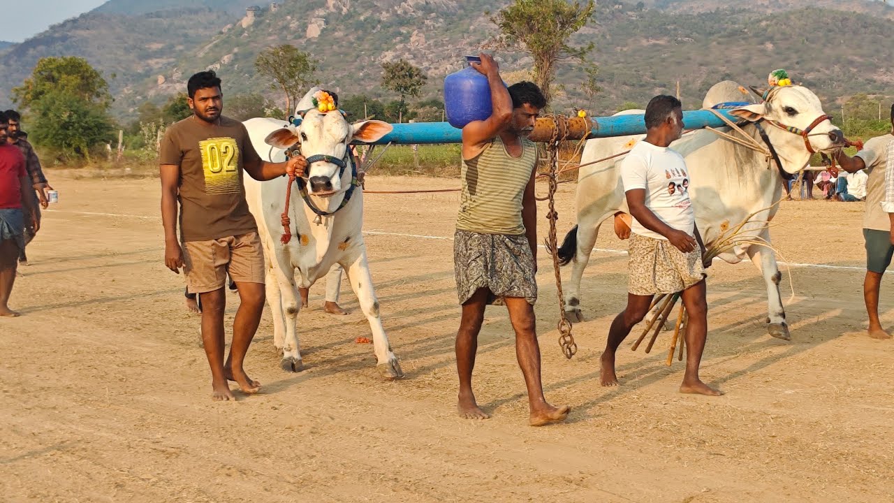 చిలేకాంపల్లి గ్రామం న్యూ కేటగిరి విభాగం 5వ జత