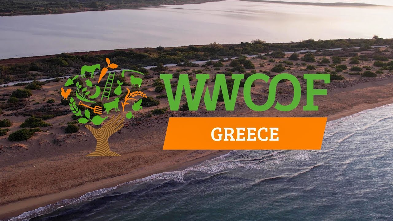 Experience WWOOFING in Greece