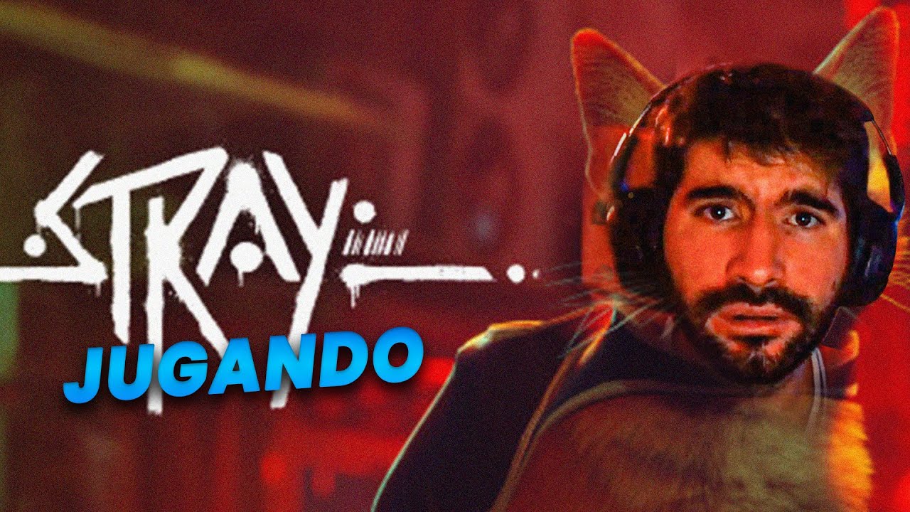 El TIERNO MICHI BRUSCHI juega STRAY