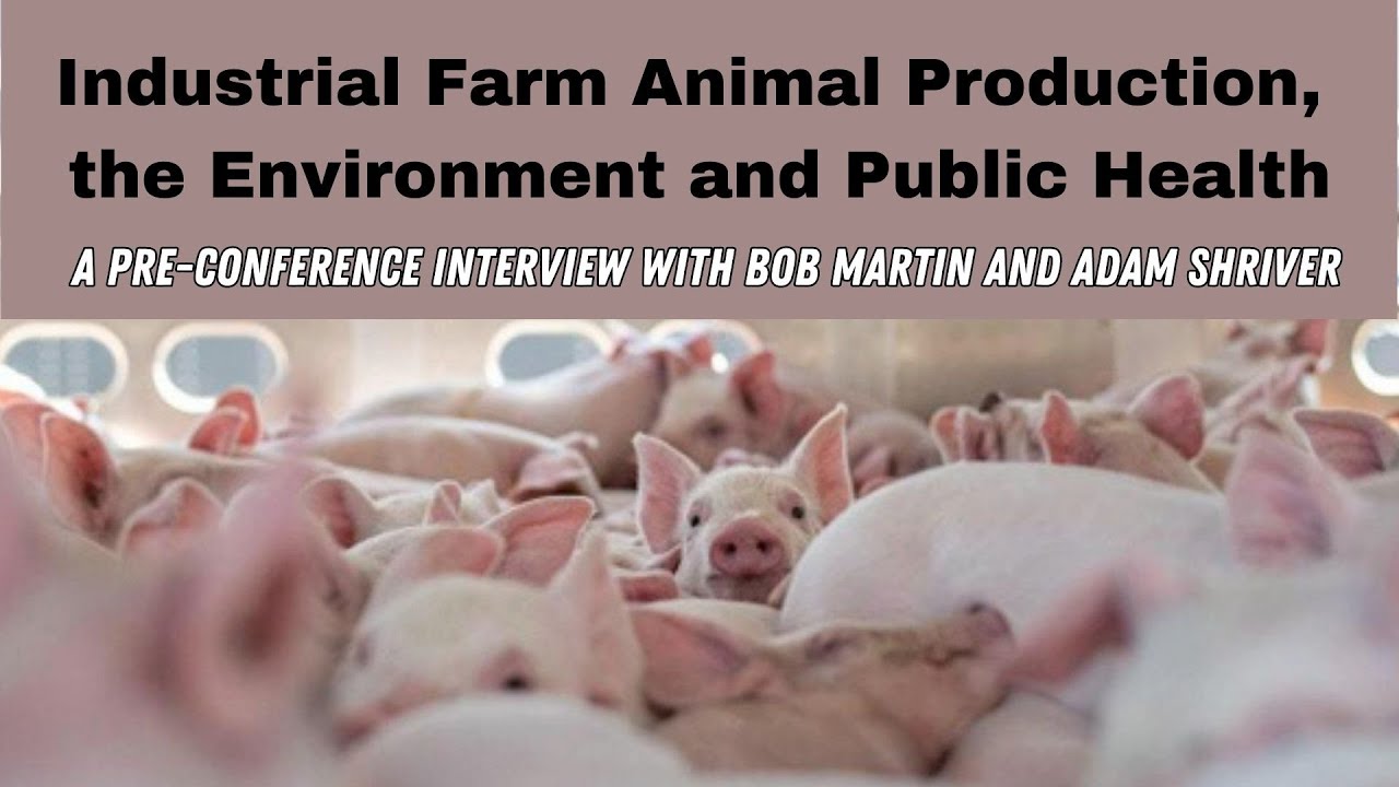 Bob Martin and Adam Shriver on Industrial Farm Animal Production, the Environment and Public Health