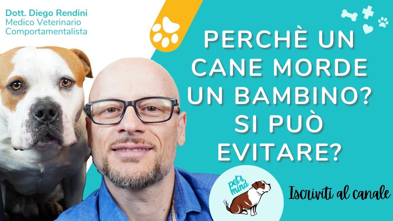 Perchè un cane morde un bambino? Possiamo evitarlo?