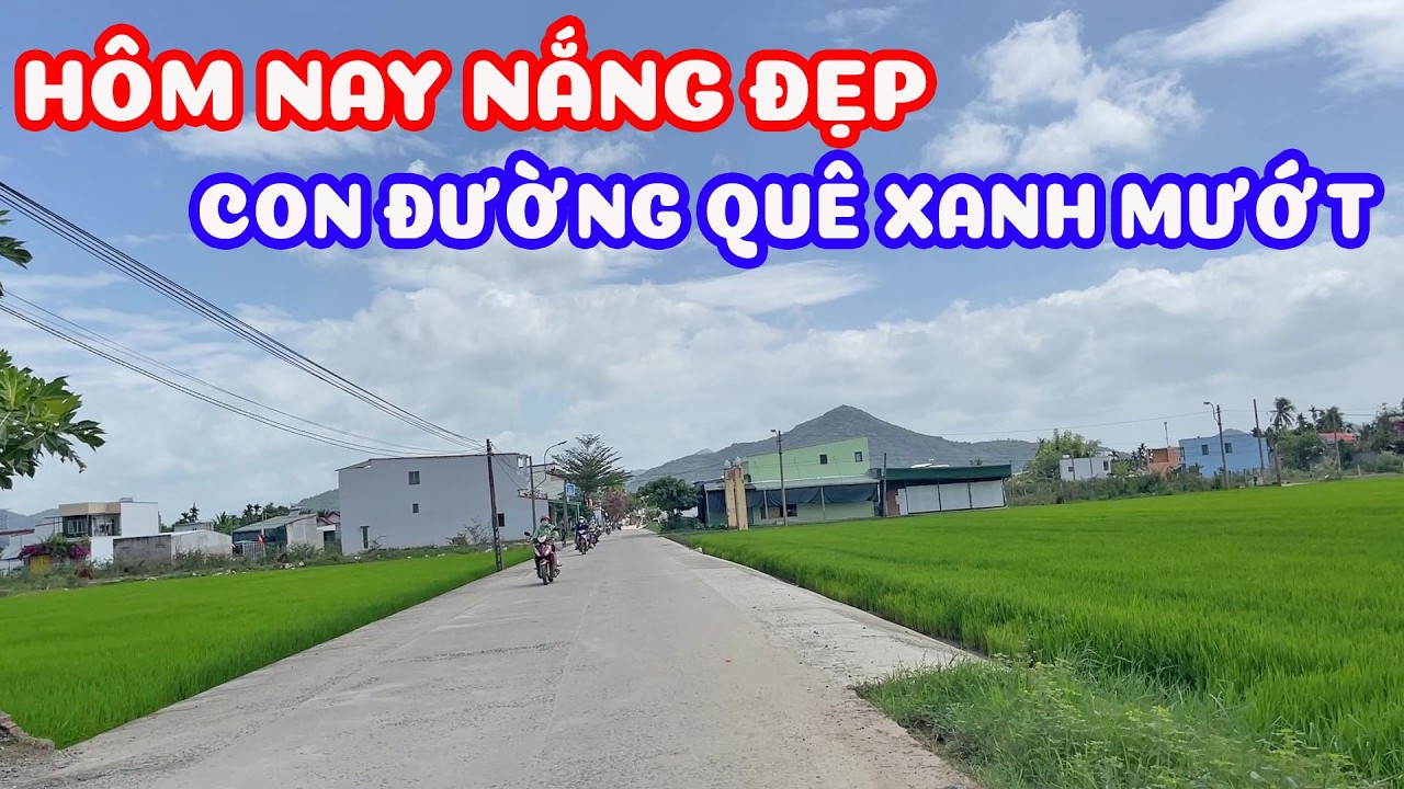 Những cánh đồng xanh mướt vùng quê - cụm công nghiệp bên quốc lộ 1 ngày nay