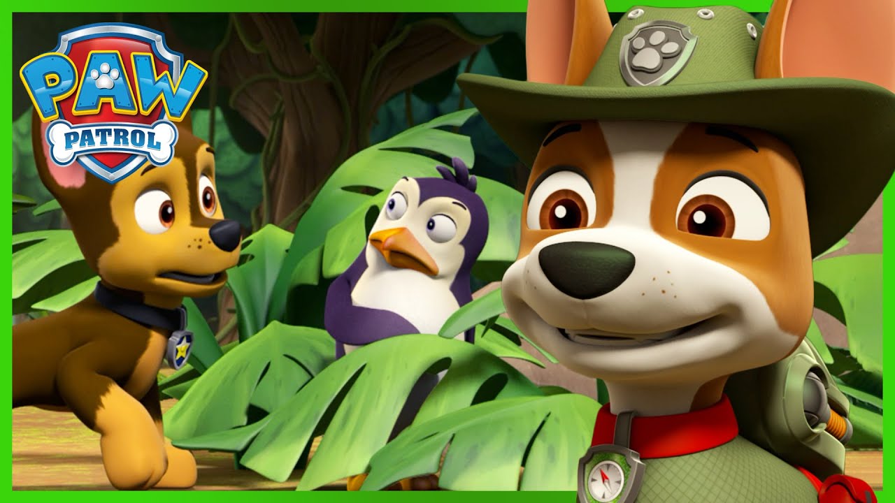 Die Jungle-Rescue-Pups helfen den Pinguinen, nach Hause zurückzukehren! PAW Patrol Germany Cartoons