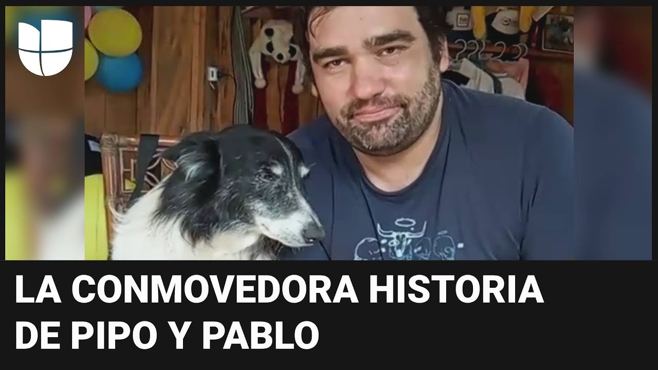 La historia de Pipo, el perro que se hizo viral en San Valentín por un conmovedor video