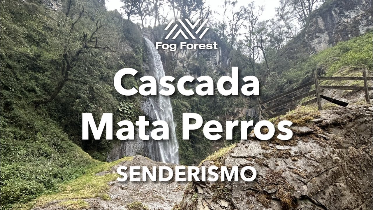 Visitamos la CASCADA MATA PERROS en Xico, Veracruz