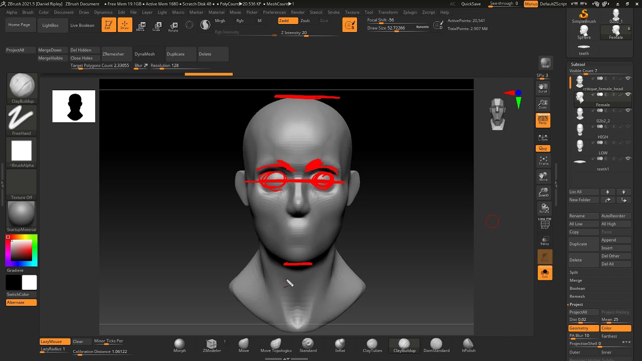 The Human Head Anatomy basics + Sculpt over