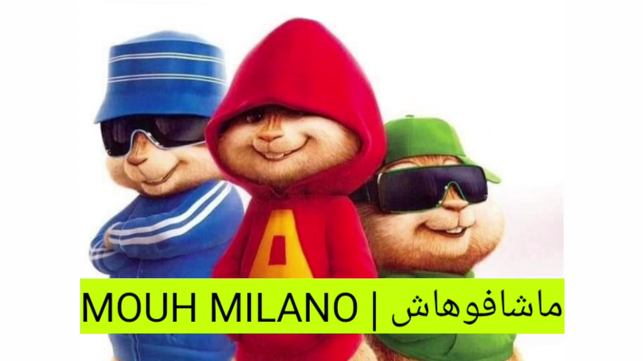 MOUH MILANO | ماشافوهاش بصوت السناجب