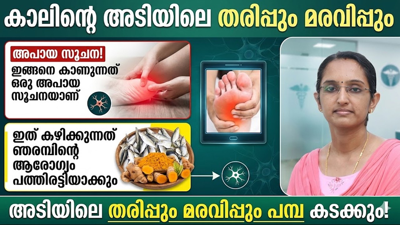 ഇത് കഴിച്ചാൽ ഞരമ്പിന്റെ ആരോഗ്യം പത്തിരട്ടിയാക്കും കാലിലെ തരിപ്പും മരവിപ്പും മാറും