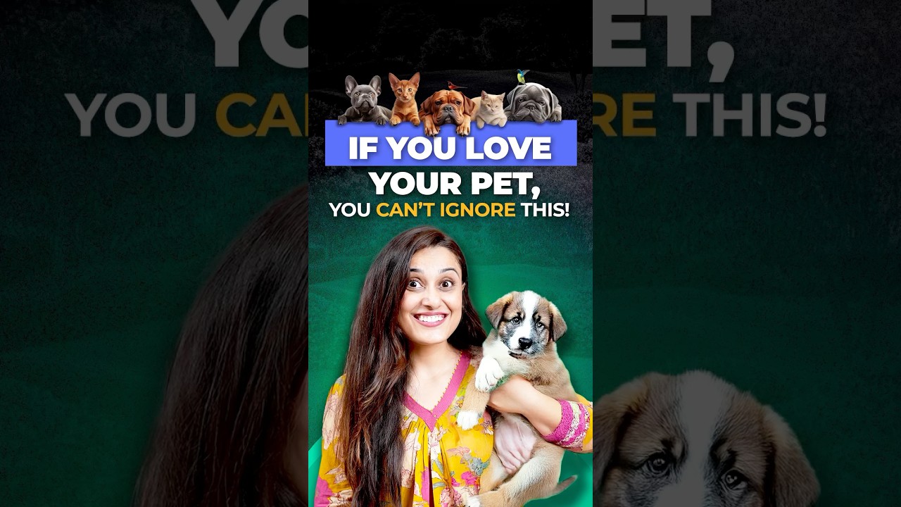 What Is Pet Insurance and How Does It Work?