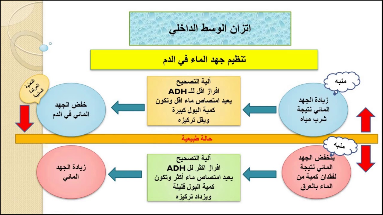 الصف الثاني التانوي القسم العلمي الأحياء الفصل الثاني الدرس الأول