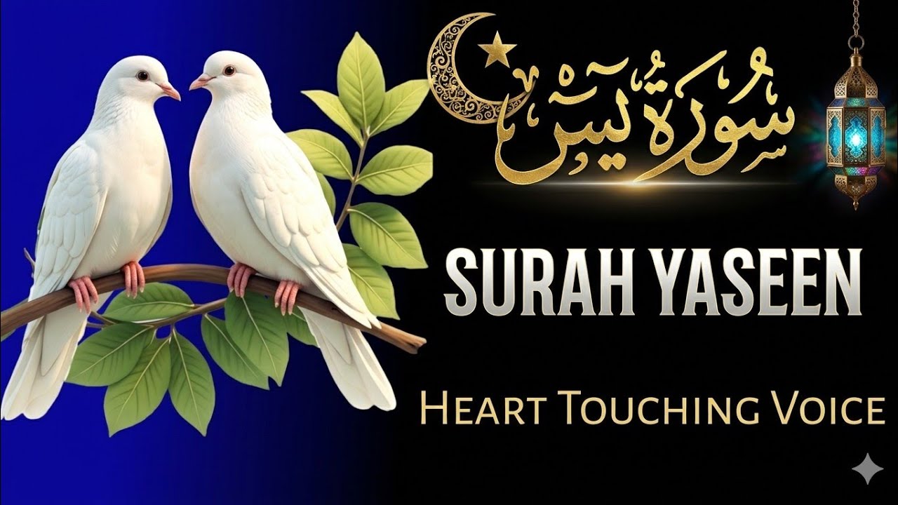 Surah Yaseen Tilawat | The Heart of Quran | Roohani Sukoon Aur Barkat Ke Liye 