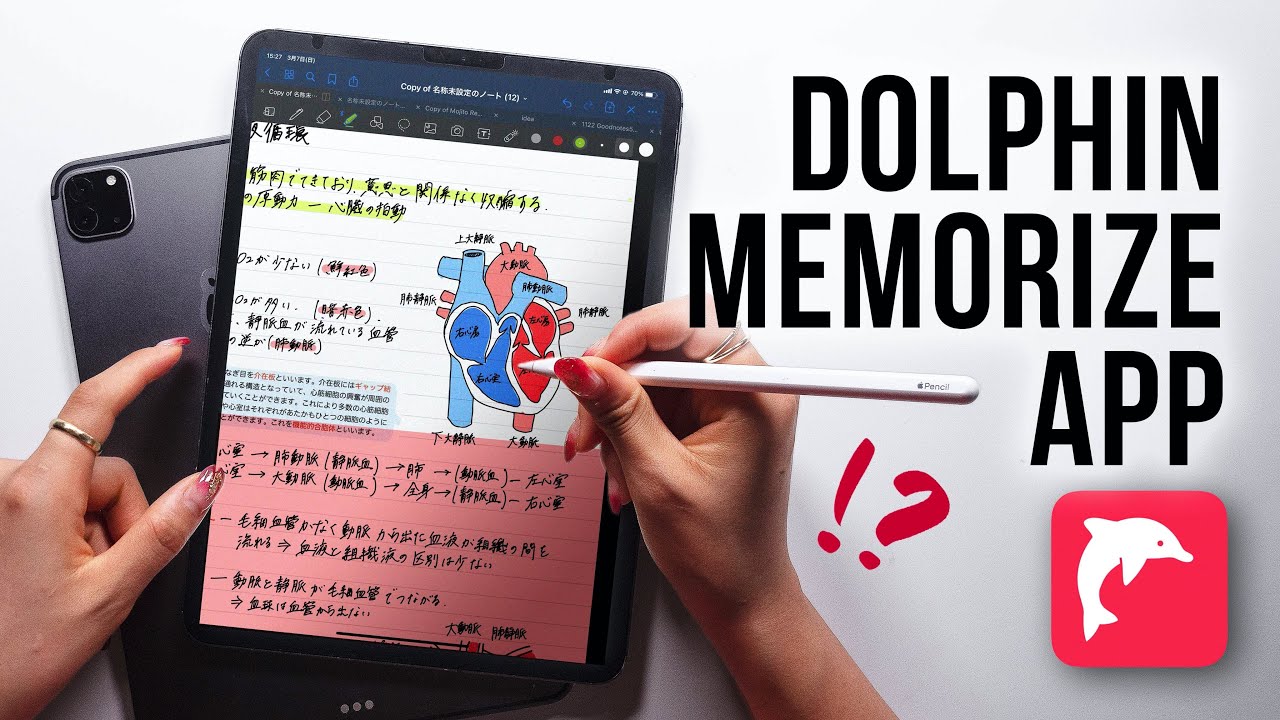 AMAZING Study App for Memorization on iPad!