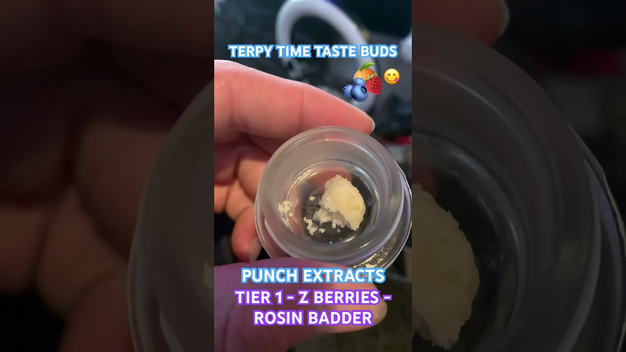 TERPY TIME TASTE BUDS - PUNCH EXTRACTS - TIER 1 - Z BERRIES - ROSIN BADDER @Punchedibles #bayarea