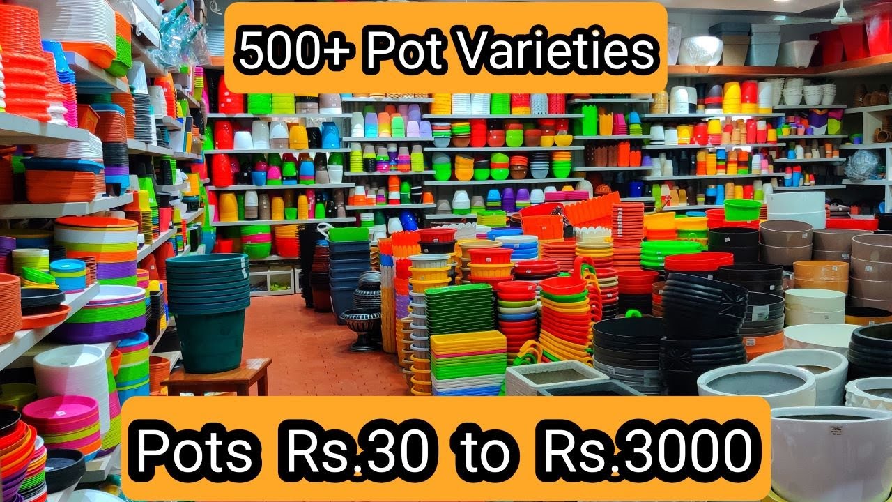 Exotic Plant Pot Shop | 500+ Pot Varieties | Pots & Price | Indoor & Outdoor Pots | Al-Manar Gardens