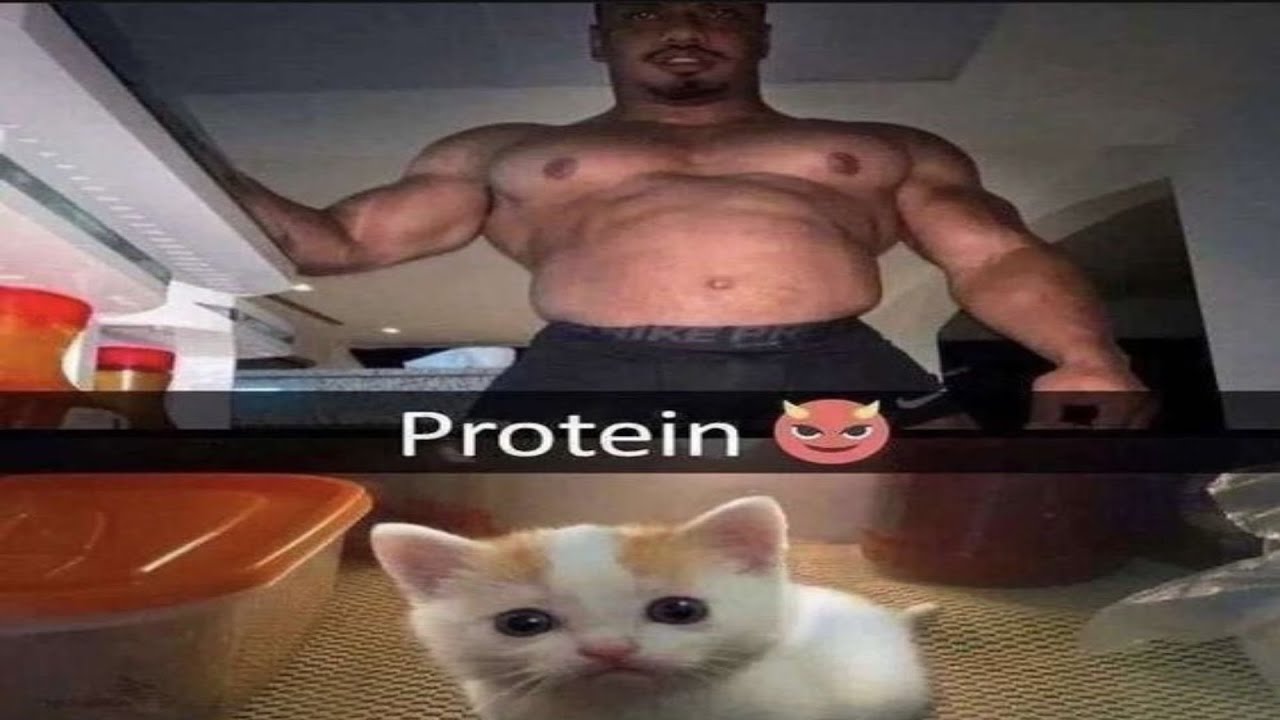 offensive memes / ylyl challenge v44
