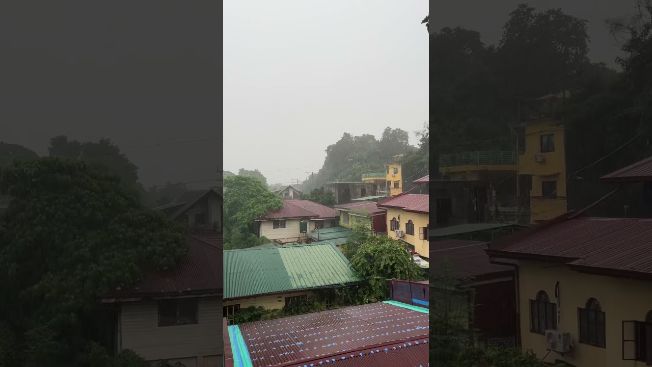 Graceful Rain #nature #relaxing #rain #rainsounds #sleepmusic #enjoyrain #rainrelaxation #rainreels
