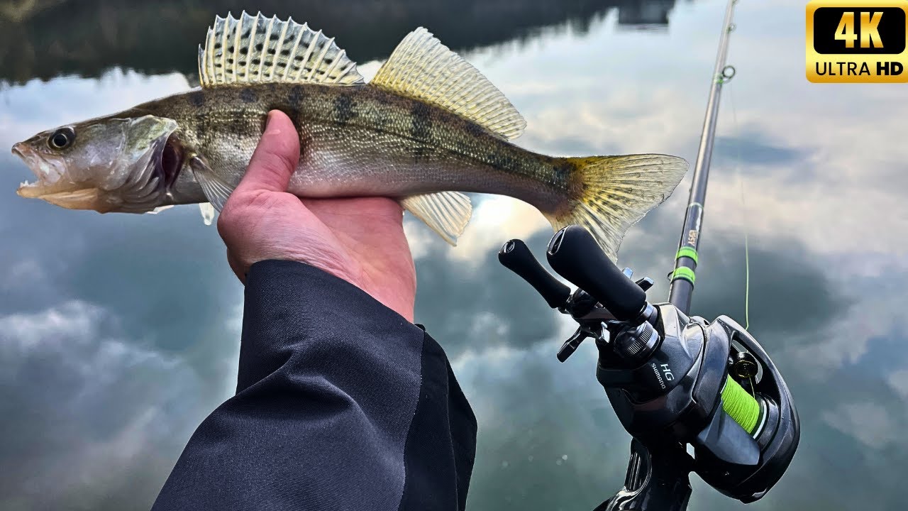 Jigging LA ȘALĂU de pe MAL |4K|.