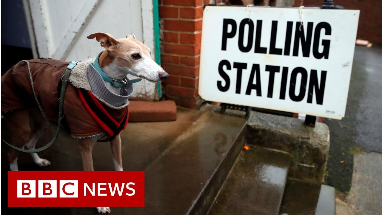 General election 2019: A tale of #DogsAtPollingStations  - BBC News