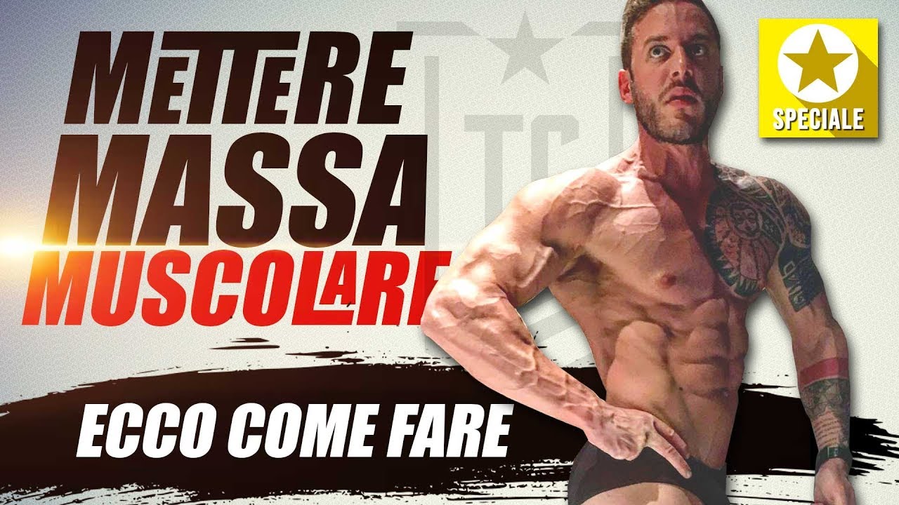 La fase di MASSA ▪ METTERE MASSA MUSCOLARE